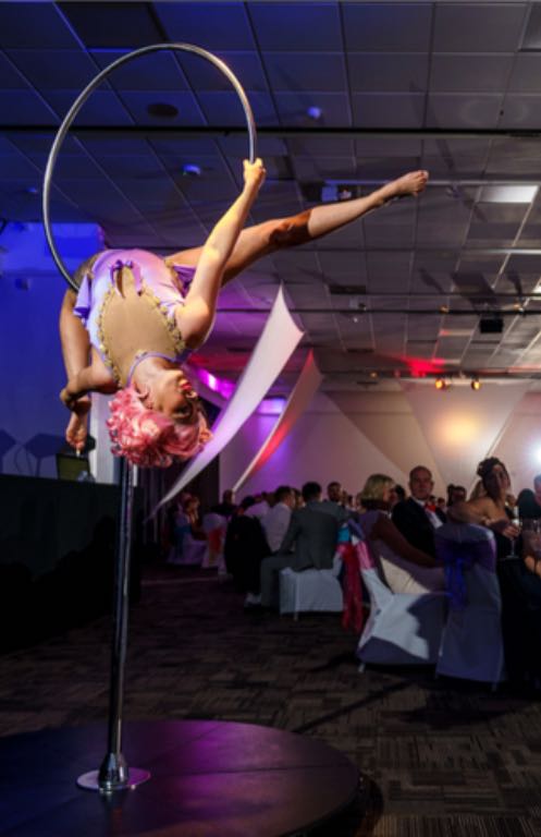 hire an Aerial Performer