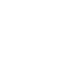 bt logo