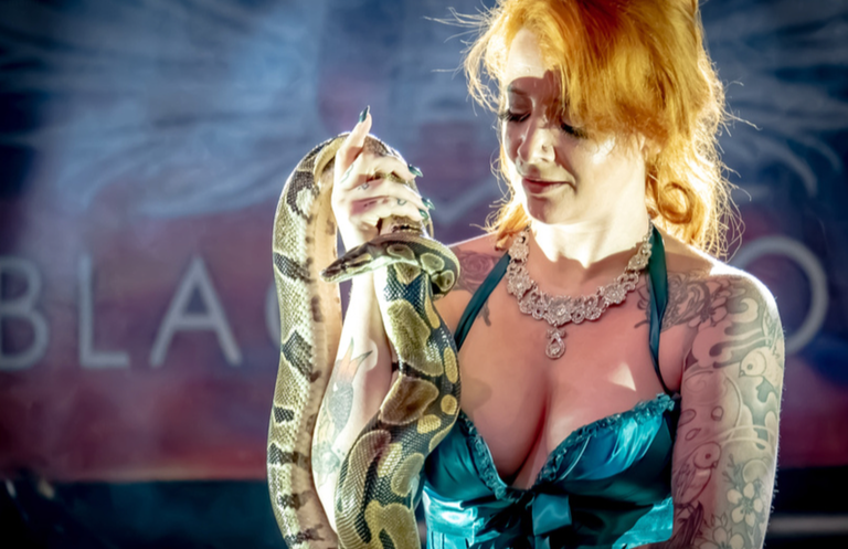 hire a snake charmer