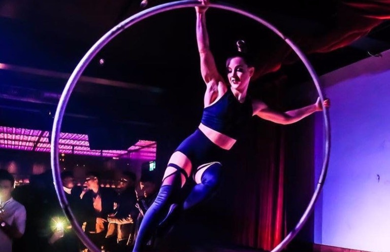 hire a Cyr wheel performer