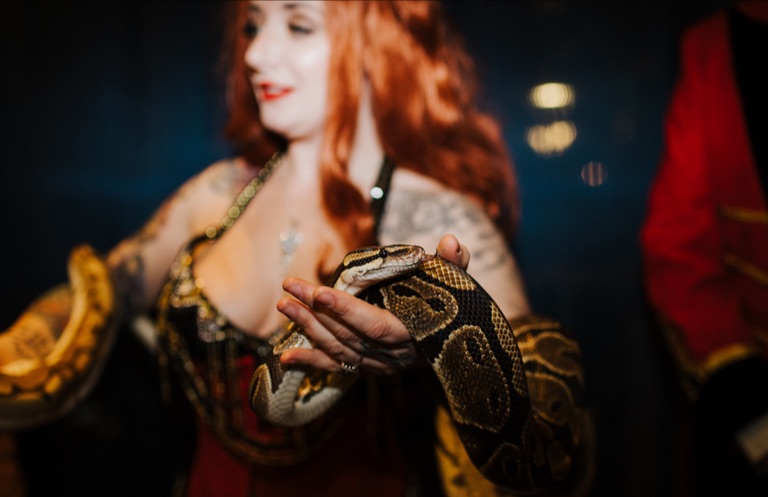 hire a snake charmer