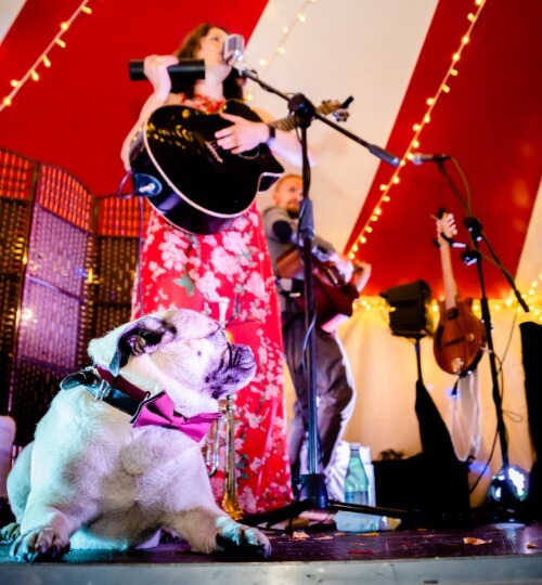 woman singing on stage with a dog