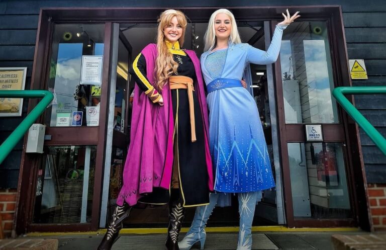 hire princess Anna and Elsa