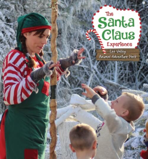 Santa and elves