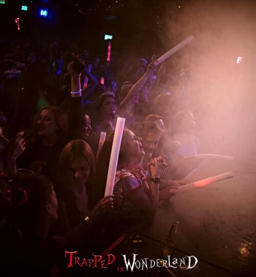 trapped in wonderland