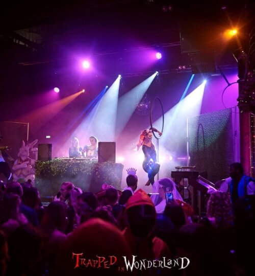 trapped in wonderland