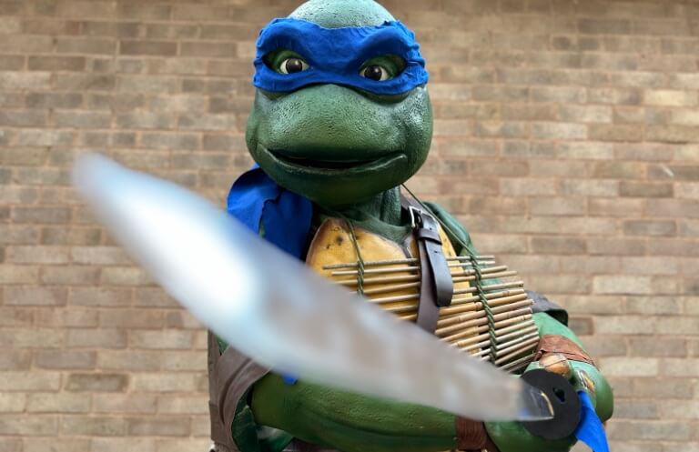 teenage mutant ninja turtles