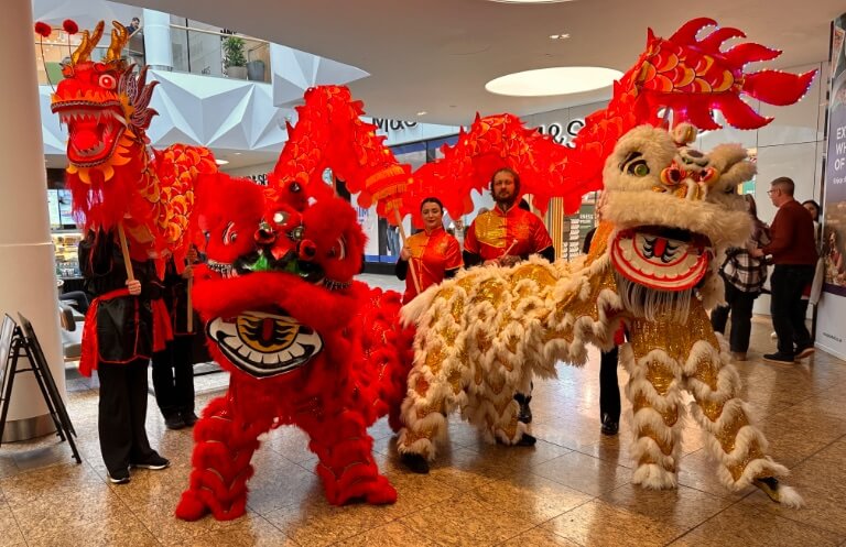 Chinese new year parade