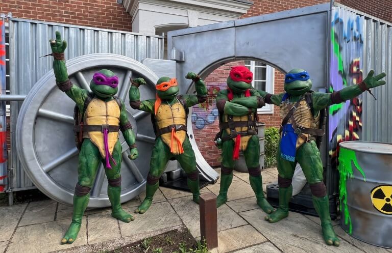 Teenage mutant Ninja Turtles Birthday Party