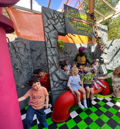 Teenage mutant Ninja Turtles Birthday Party
