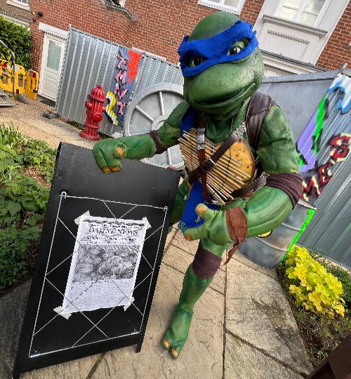 Teenage mutant Ninja Turtles Birthday Party