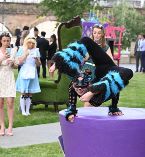 Alice in wonderland